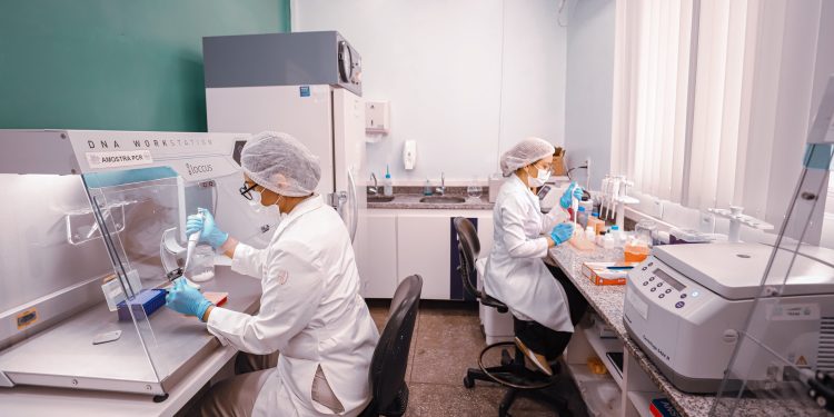 Inscrições abertas para o programa ‘Mulher Faz Ciência’ até 3 de maio