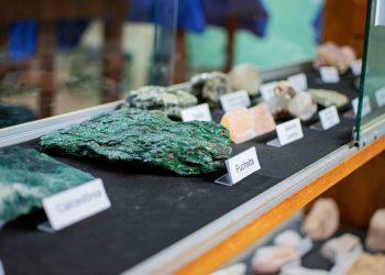 Museu de Solos da Amazônia é criado, em Itacoatiara