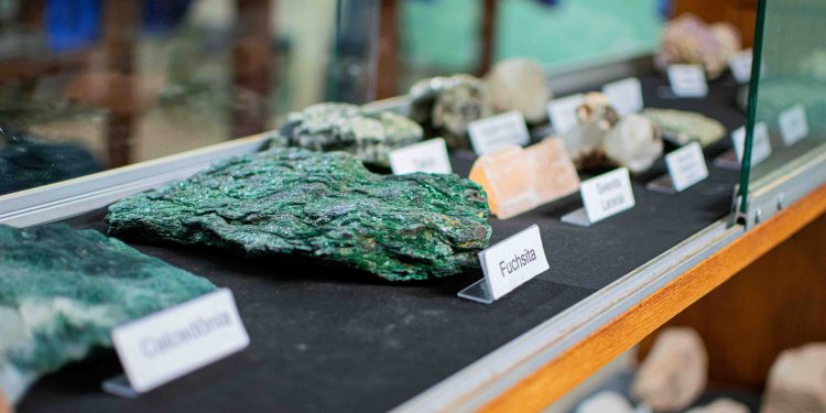 Museu de Solos da Amazônia é criado, em Itacoatiara