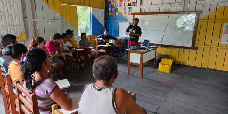 Elaboração de plano de manejo florestal em Beruri