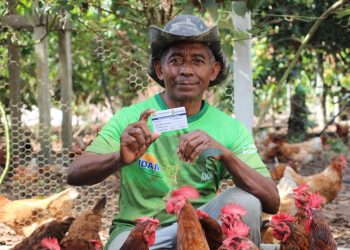 Aumenta em 17,5% a emissão e renovação do Cartão do Produtor Primário (CPP)