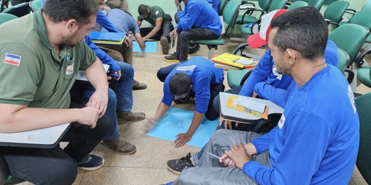 Sema inicia ações de prevenção às queimadas e desmatamento ilegal