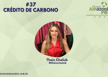 Crédito de Carbono – Thaís Chalub