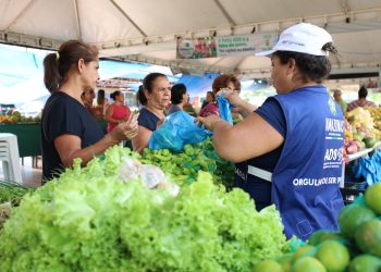 ADS realiza primeira edição especial da Feira de Produtos Regionais