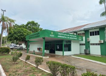 Ipaam tem extensa programação aberta ao público