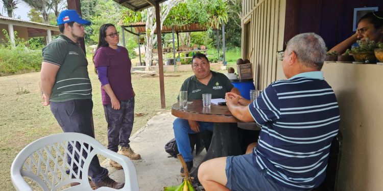 Sema inicia diagnóstico da cadeia produtiva de mel na APA Caverna do Maroaga