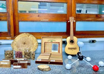 Pesquisa revela potencial econômico de resíduos sólidos da indústria madeireira