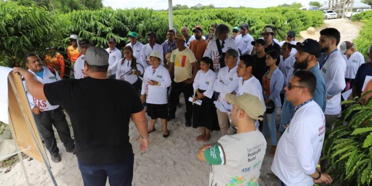 No município de Rio Preto da Eva, o Idam promove mais um ‘Dia de Campo do Café