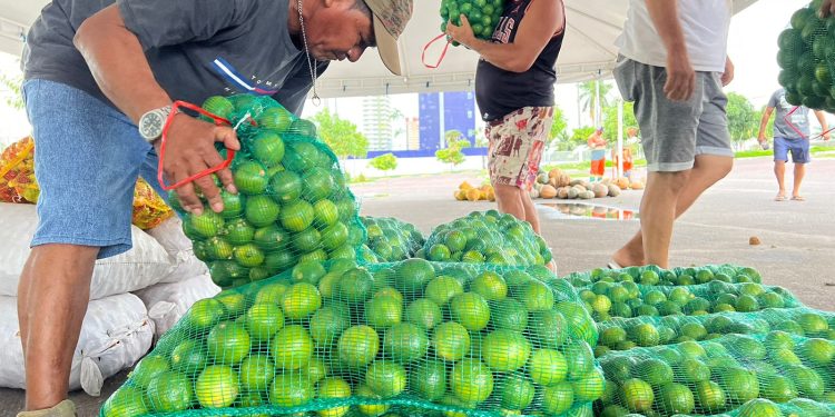 Governo do Amazonas investe cerca de R$ 45 mil na compra de alimentos