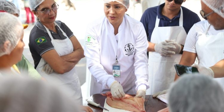 Sepror intensifica a profissionalização do agro amazonense alcançando mais de 2,5 mil pessoas