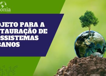Prefeitura de Manaus lança projeto para a restauração de ecossistemas urbanos