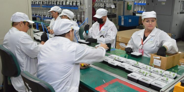 Livoltek anuncia primeira fábrica de inversores de energia solar do Brasil com investimento de R$70 milhões em Manaus