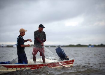 Fapeam recebe propostas até 28 de junho para Programa Jovem Cientista na Pesca Artesanal