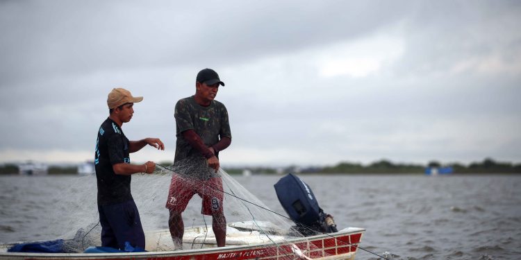 Fapeam recebe propostas até 28 de junho para Programa Jovem Cientista na Pesca Artesanal