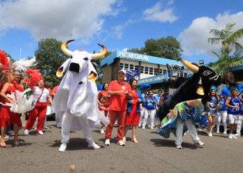 Hemoam lança campanha com Bois de Parintins para incentivar doação de sangue