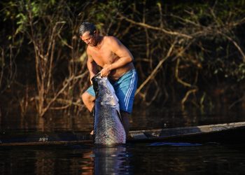 ADS celebra 21 anos e destaca ações que têm impactado positivamente a produção rural do Amazonas