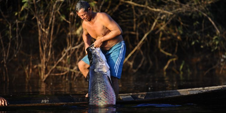 ADS celebra 21 anos e destaca ações que têm impactado positivamente a produção rural do Amazonas