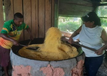 IDAM capacita 20 agricultores de Rio Preto da Eva na produção de derivados da mandioca