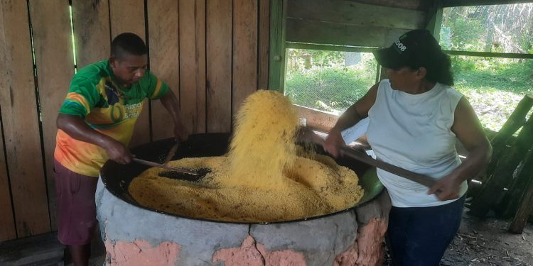 IDAM capacita 20 agricultores de Rio Preto da Eva na produção de derivados da mandioca