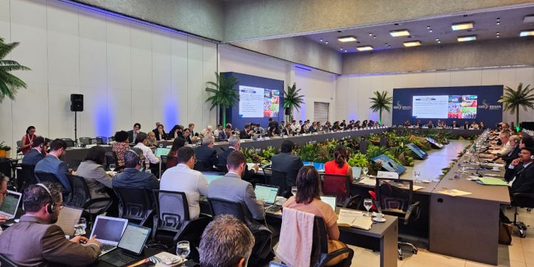 G20 debate sustentabilidade e mudança climática com representantes de 20 países