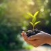O Papel do Selo Verde na Neoindustrialização do Brasil