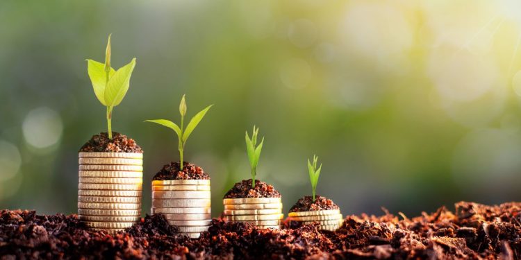 KPTL lança fundo de US$ 30M para impulsionar bioeconomia na Amazônia