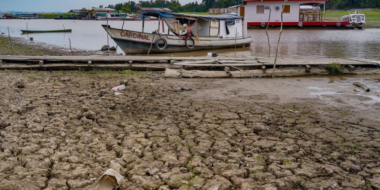 DPE-AM solicita auxílio do governo federal no enfrentamento à estiagem