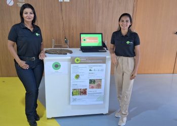 Incubadora Apoiada pelo Governo Fortalece Empreendedorismo Tecnológico