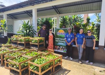 Agricultores familiares de Beruri recebem 2,5 mil mudas de castanha para fortalecer cultivo sustentável