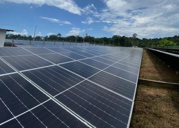 Empresa Manauara Destina R$ 3 Milhões para Transição Energética e Sustentabilidade