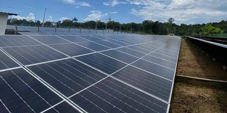 Empresa Manauara Destina R$ 3 Milhões para Transição Energética e Sustentabilidade