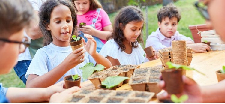 Educação e Sustentabilidade: CETENE Promove Bioeconomia nas Escolas do Amazonas