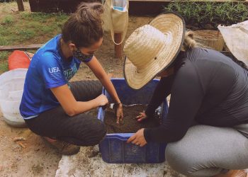 Governo do Amazonas Apoia Pesquisa com Nova Técnica de Cultivo para Cactos
