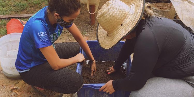 Governo do Amazonas Apoia Pesquisa com Nova Técnica de Cultivo para Cactos
