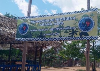 Fepiam apoia a agricultura indígena com distribuição de mudas de pitaya