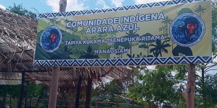 Fepiam apoia a agricultura indígena com distribuição de mudas de pitaya