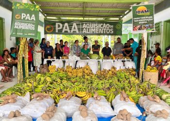 Idam inicia PAA Indígena em Eirunepé com 46 agricultores