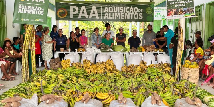Idam inicia PAA Indígena em Eirunepé com 46 agricultores