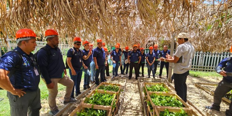 Idam lança inscrições para o Dia de Campo da Castanha