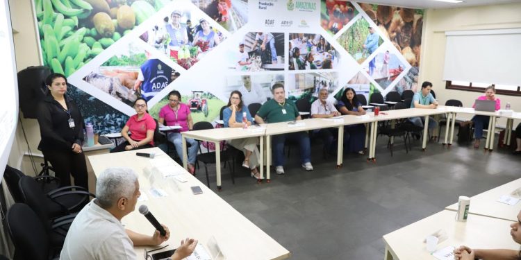 Conselho Estadual de Pesca debate apoio a pescadores de peixes ornamentais