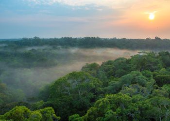 Prefeitura de Manaus monitora qualidade do ar devido às queimadas