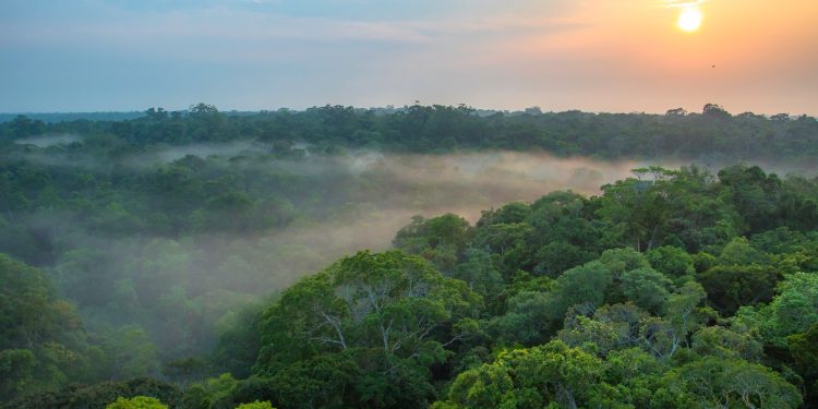 Prefeitura de Manaus monitora qualidade do ar devido às queimadas
