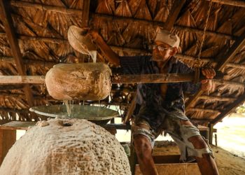 Museu do Seringal Vila Paraíso Celebra 22 Anos com Programação Especial