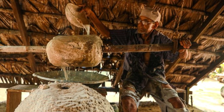 Museu do Seringal Vila Paraíso Celebra 22 Anos com Programação Especial