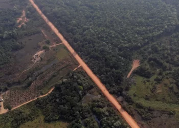 DNIT divulga provas de controle ambiental para pavimentação da BR-319