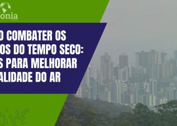 Como Combater os Efeitos do Tempo Seco: Dicas para Melhorar a Qualidade do Ar