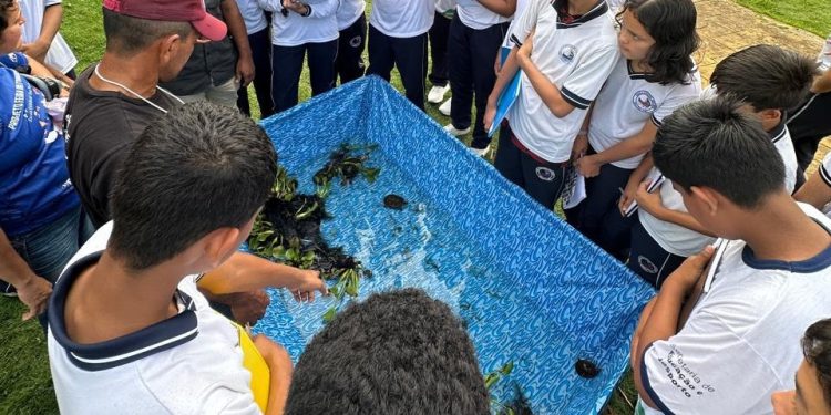 Evento populariza conhecimentos científicos relacionados à aquicultura no interior