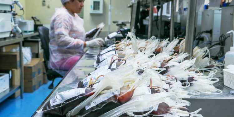 Hemoam mantém ISO 9001 pelo 24° ano consecutivo