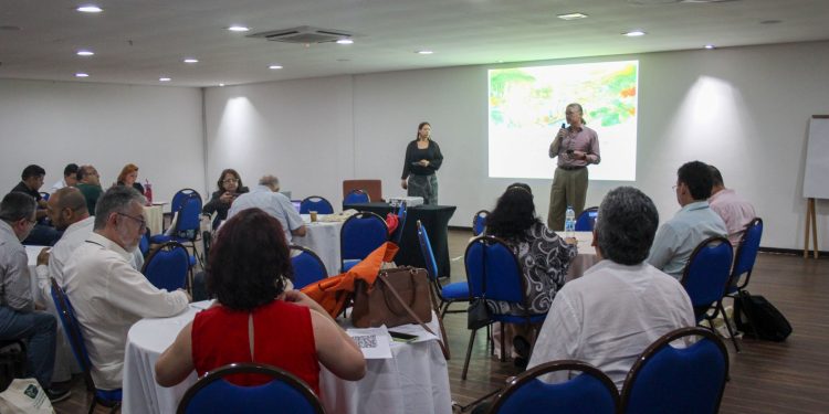 Sedecti realiza Workshop de Planejamento da Fase III do Plano de Bioeconomia do Amazonas