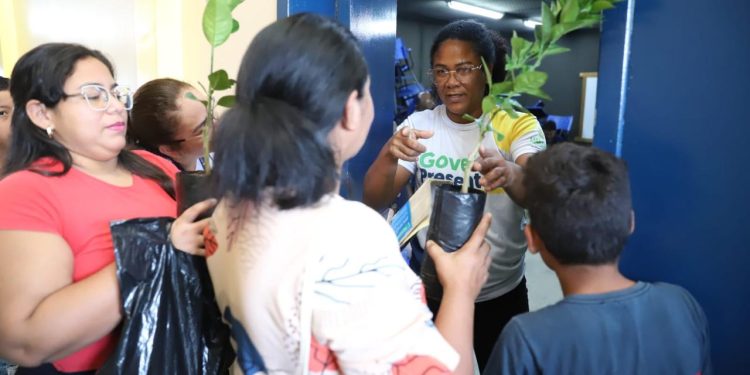 Sepror Incentiva Agricultura Urbana e Periurbana com 600 Mudas Frutíferas